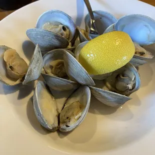 Neck Clams