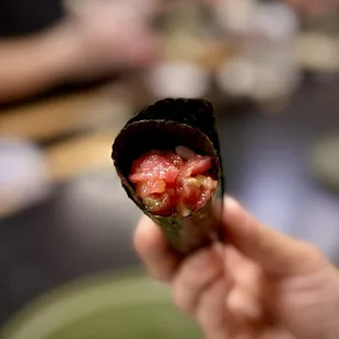Toro Handroll Toro
