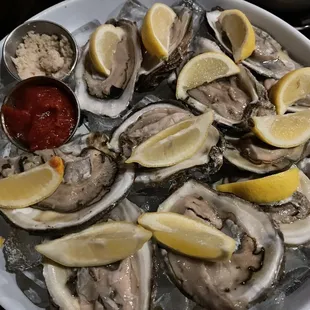 Oysters