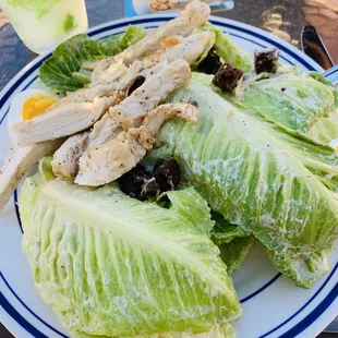 Chicken Caesar Salad