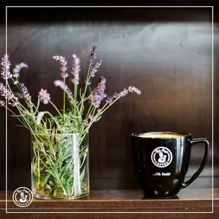 Delicious Lavender &amp; Honey Latte!