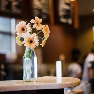 interior, sushi and sashimi