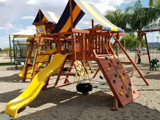 Tree Frogs  - Tucson