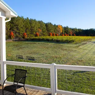 Come relax on our expansive porches, decks and gazebo. Bring a picnic or choose from a variety of light foods.