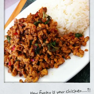 Spicy Chicken