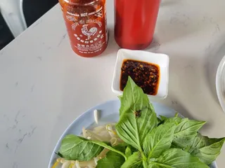 Pho 503