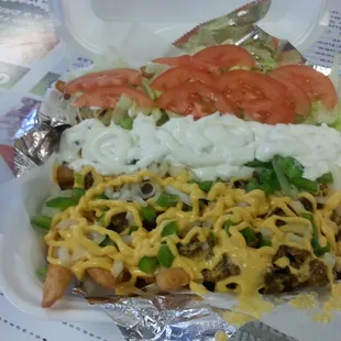 Gyro cheese fries. ....fully loaded.
