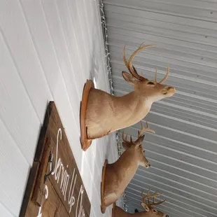 You have an audience while eating. :D