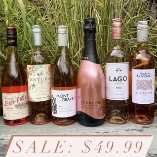 Updated rosé 6-pack