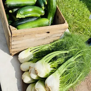 Saturday Farmer&apos;s Market Vendors  9-12am