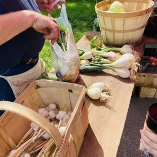 Saturday Farmer&apos;s Market Vendors  9-12am