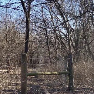 Dog run