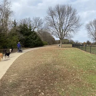 Wooded area and trails at dog park area