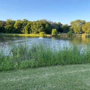 Still Memorial Park pond