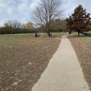 Dog park