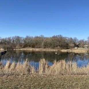 Pond