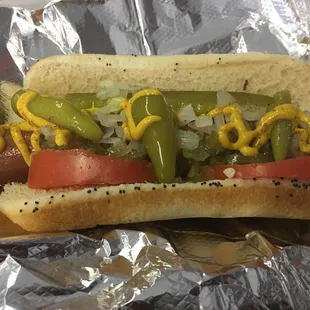 Chicago Dog