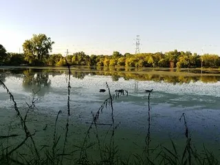 Central Park