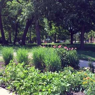 Nice Landscaping