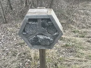 Big Bull Creek Park