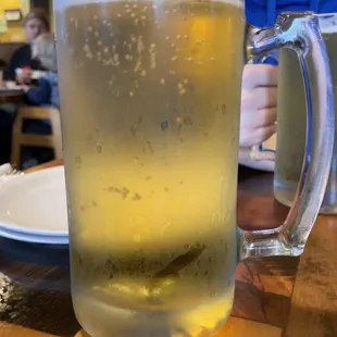 tall bud light (~24oz)