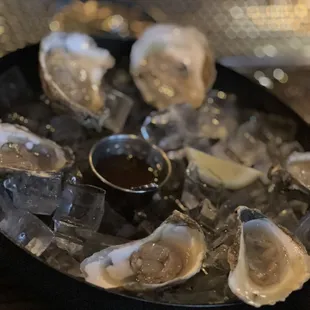 Oysters