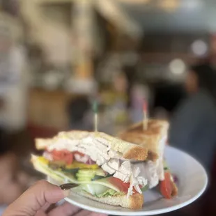 Turkey sandwich with everything on it.