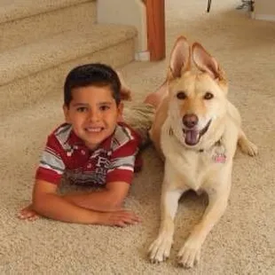 Pet Stain and Odor Removal Specialists