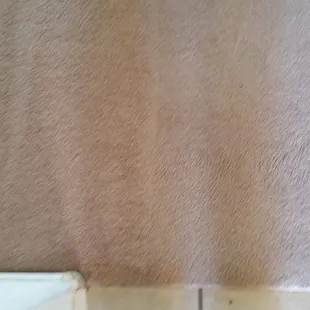 During...you can see the clean next to the dirty! Looks great!