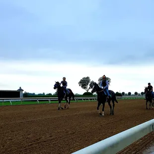 Training at Keeneland