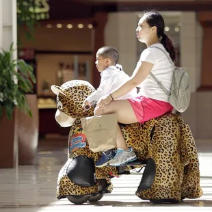 Can fit a child and adult