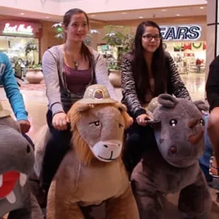 Variety of rides