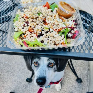 Lakeside salad
