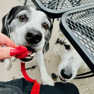 Craft Beef Biscuit from vending machine