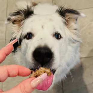 Enjoying her cheesesteak