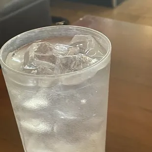 Fly on glass