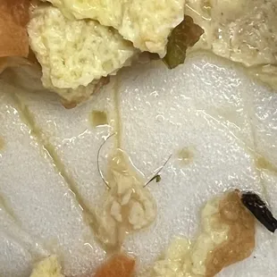 I ordered a veggie omelette, ate half of it and found a hair at the bottom, disgusting!