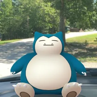 For those with kids... and those young at heart. There are 2 Pokémon Gyms and 2 Pokestops in the Campground.