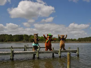 Yogi Bear's Jellystone Park