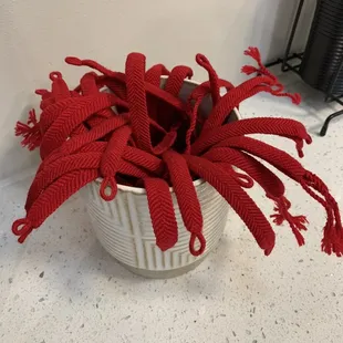 Bracelets made from the rescued.