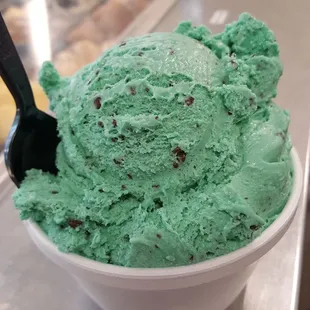 Mint Chocolate Chip Gelato