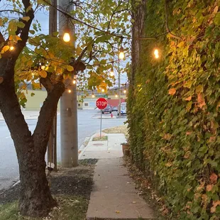 The outside of Three Bees. It's so cute and cozy.