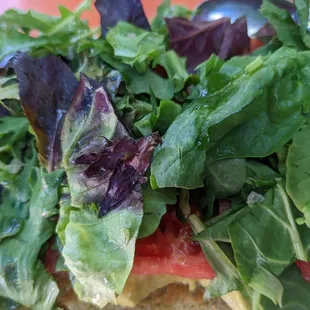Garden Toast