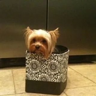Tabatha G.