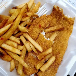 Catfish and fries