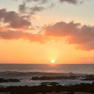 A great meal provides more than just sustenance.