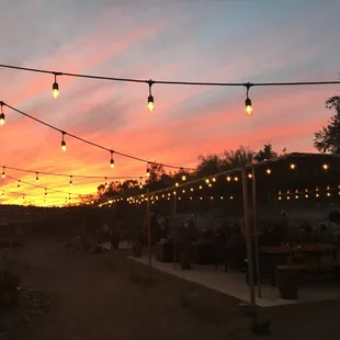 Beautiful Sunset in the Garden!
