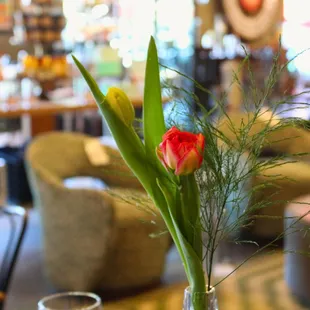 Three Cats dining room.