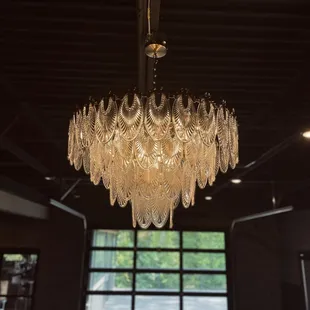 oysters and mussels, interior