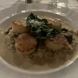 Scallops